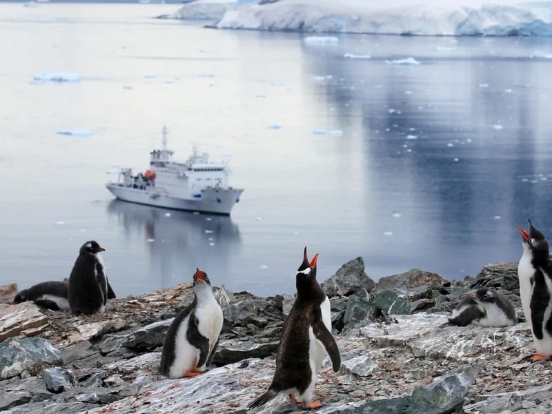 Expedition Cruising